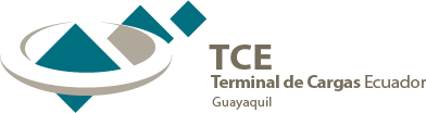 Terminal de Carga